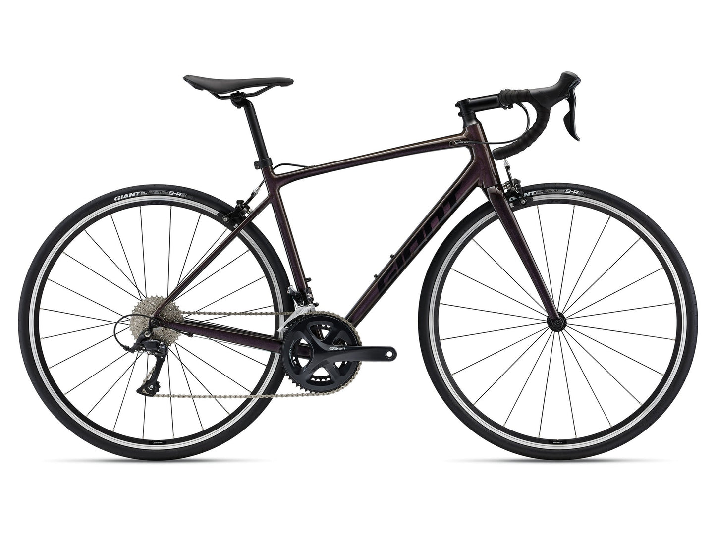 Giant Contend 1 (Rosewood)