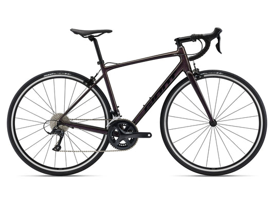 Giant Contend 1 (Rosewood)