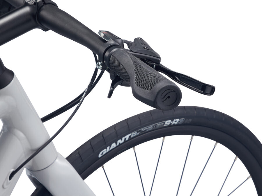 Giant Fastroad SL 2 (Good Grey)